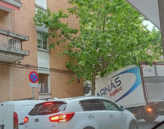 Una vecina de Majadahonda pide podas y lamenta la destrucción de árboles de la concejala de Medio Ambiente que dice estar «cansada»